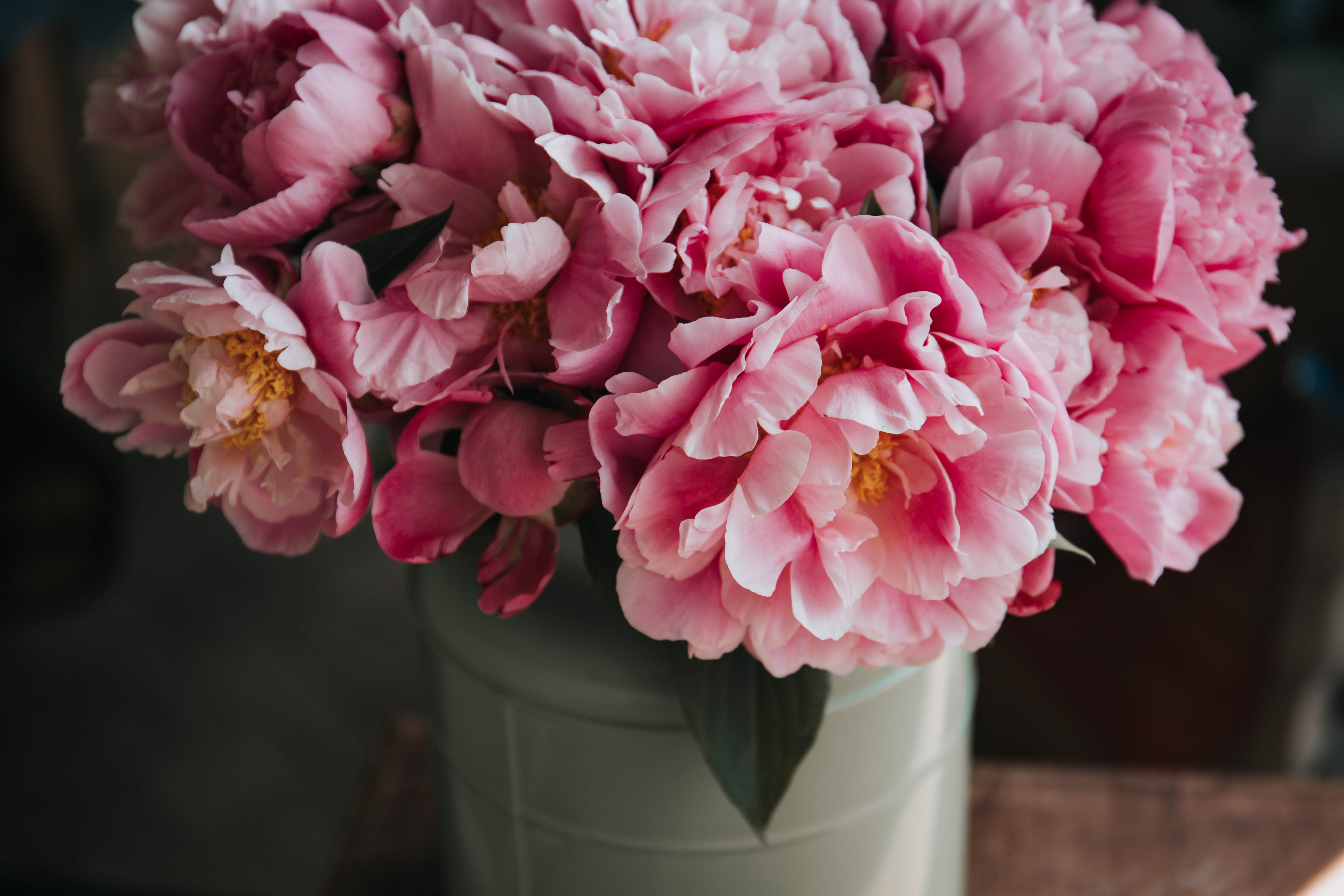 alisa-anton-309122-unsplash