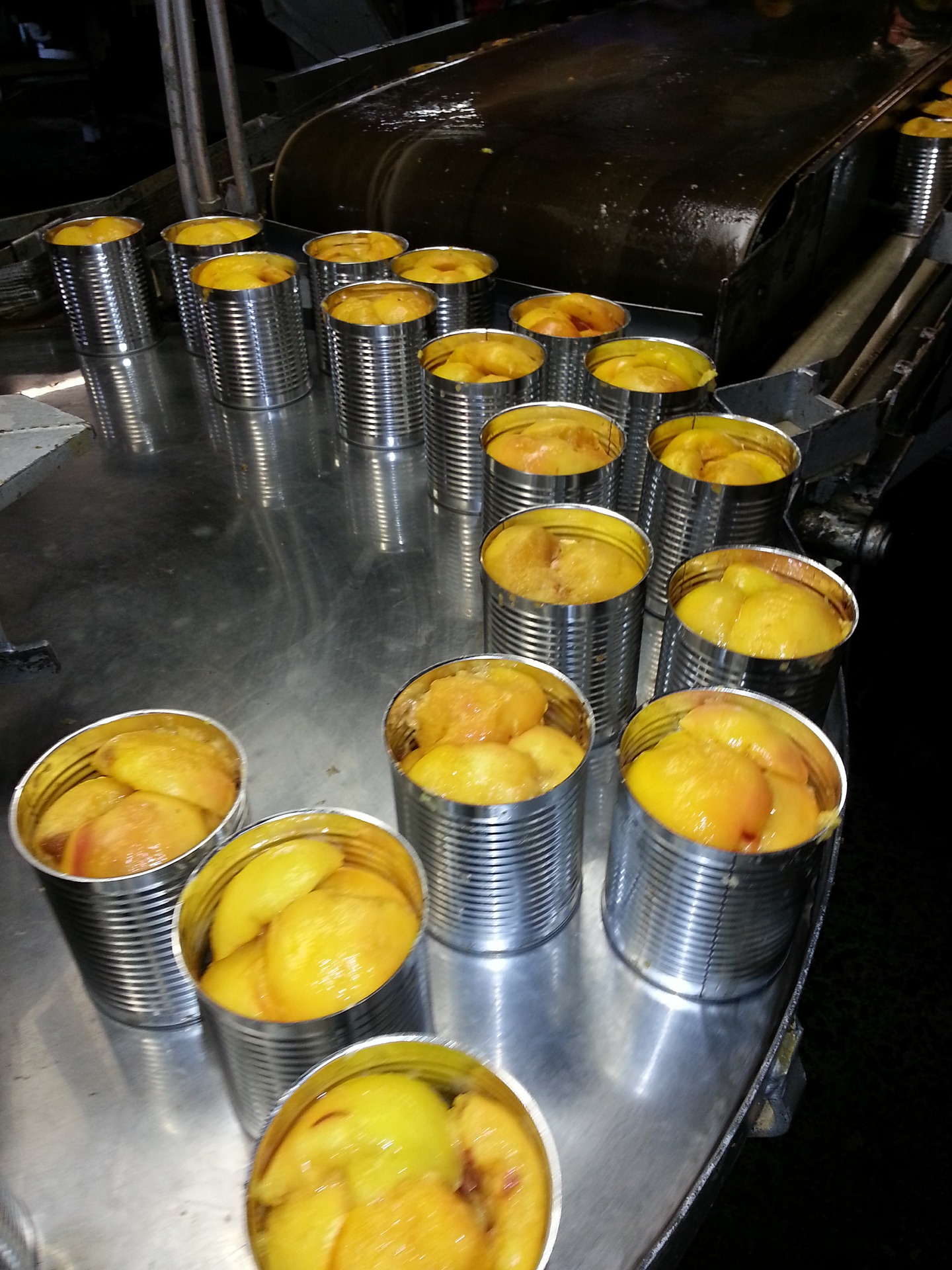 peaches-448529_1920
