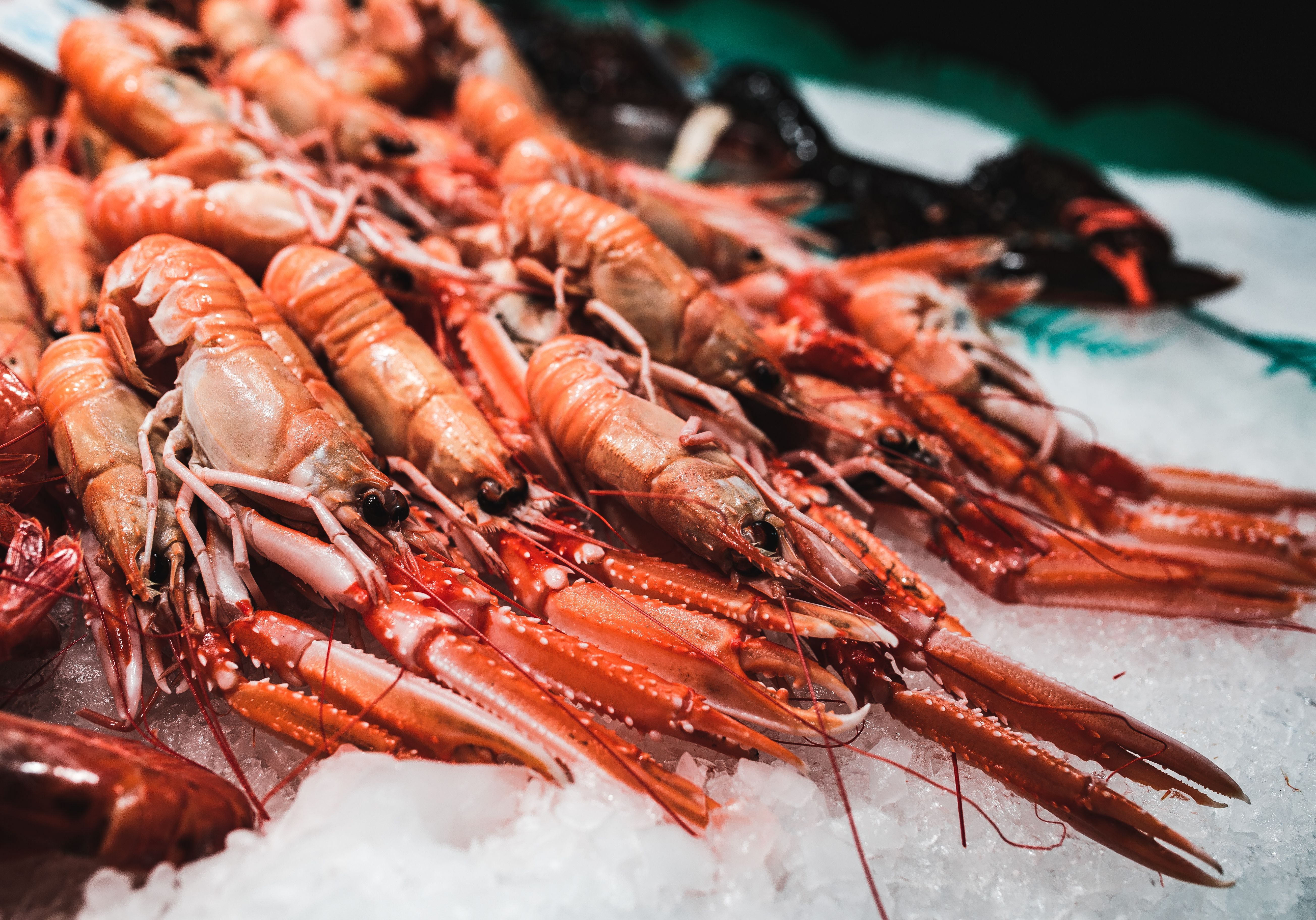 kaboompics_Fresh shrimps seafood of La Boqueria